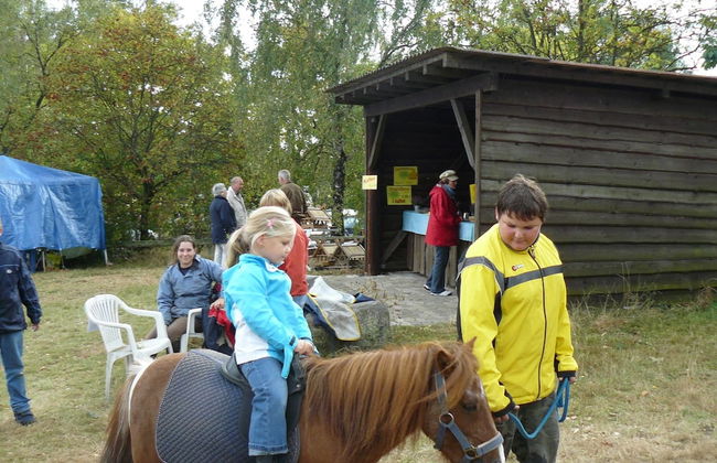 Holiday Home in the Luneburg Heath - Foto 17