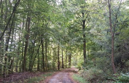 Ferienwohnung Rucksack-Bimbes - Foto 6