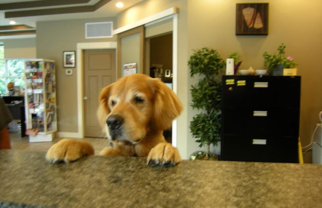 Oceanside Village Resort - Foto 37