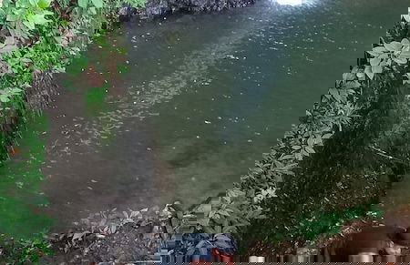 Cabaña el Ermitaño - Foto 16