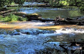 PIZUNY Dom pod dębem z balią na wyłączność - Foto 57