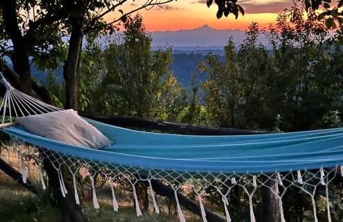 Gatti di Langa - Foto 5