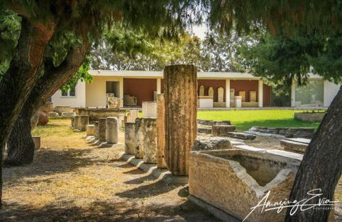 Seaside Villa AndroNikos (Evia Island) - Foto 51