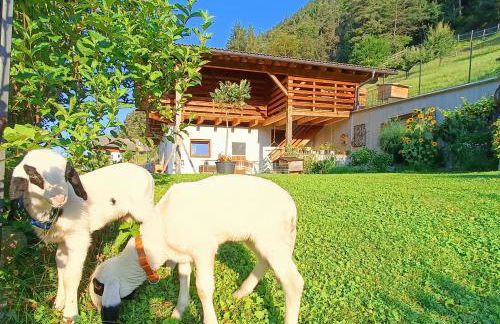 Gosthof Kastelruth - Foto 19