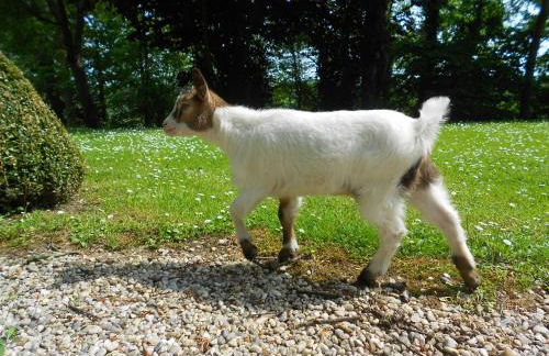 Gîte "Le Bleu D'Orage" Dans un Domaine de 7ha Au Calme - Foto 28