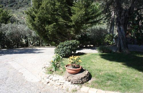 Azienda Agrituristica Le Puzelle - Photo 9