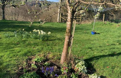 Beudy Dolpebyll - Photo 41