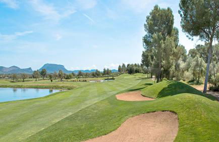 Finca Agroturismo Sa Cova den Borino - Foto 128