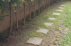 Magnolia House - Photo 11