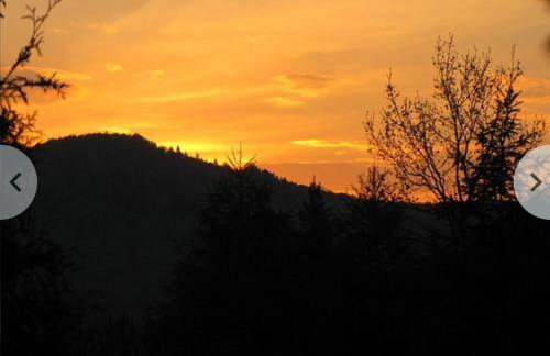 Domki pod Skałką - Foto 44