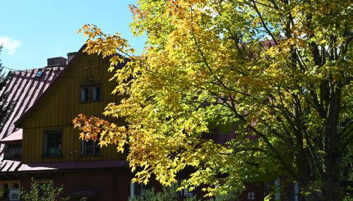 Strażnica Pod Lasem - Foto 4