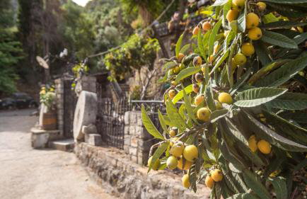 Kitries Home - Photo 49