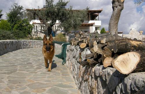 Villa Desiree - Foto 34