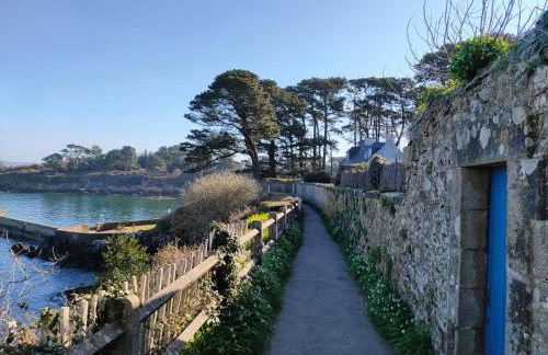 Maison de pêcheur Port de plaisance Tréboul - Foto 22