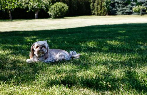 Villa Port Rybaki - Foto 16