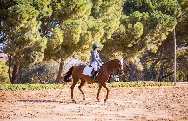 Cortijo de Guerra - Foto 19