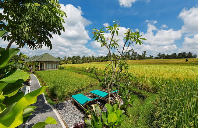 Cahaya Ubud Villa - Foto 69