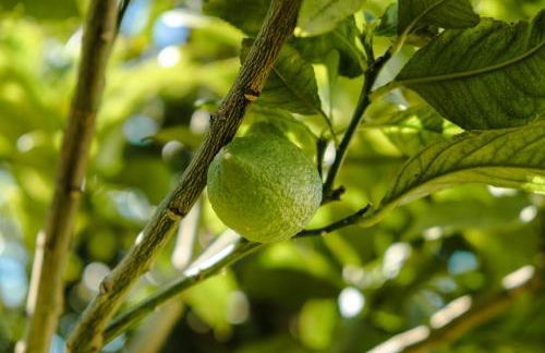 GuestReady - Leme Beach Breathtaking Views - Foto 61