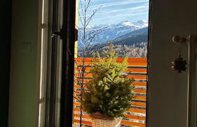 Alpen Lodge Premium Apartment - Foto 71