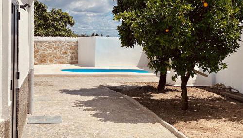 My Grandmas School - Foto 4