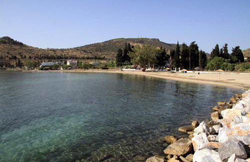 Hotel Stella - Photo 33