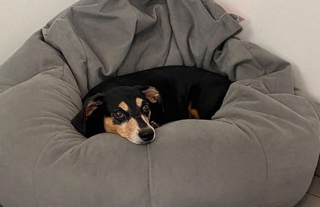 Sea Breeze Tunnel Hideaway 3 - Foto 36