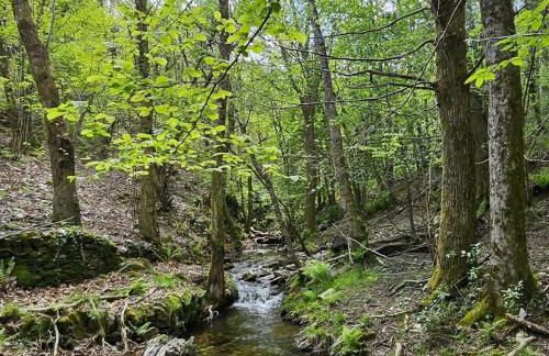 Les Hôtes du Chataignier - Foto 75