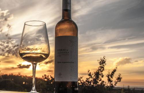 A Serenada Enoturismo - Foto 31