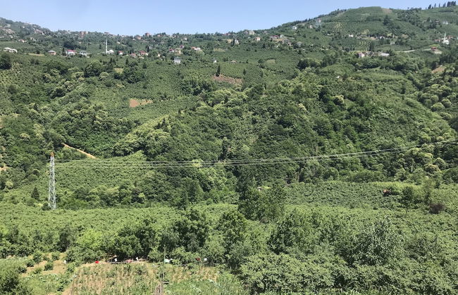 Karabina Village Houses - Foto 33