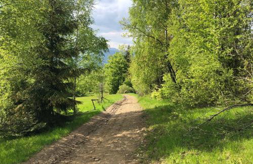 Stodoła 55 - Foto 66