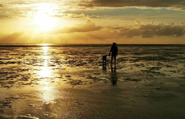 Sun, Mudflats and sea - Foto 23