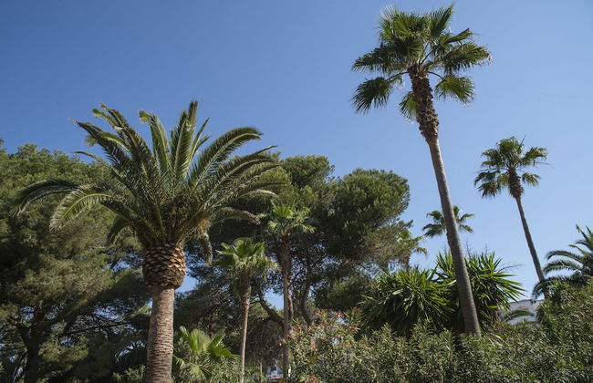 Mallorca Cecilia - Photo 67