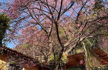 Vale das Quaresmeiras - Foto 63