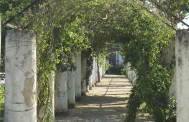 Apartamento Artur - Foto 27