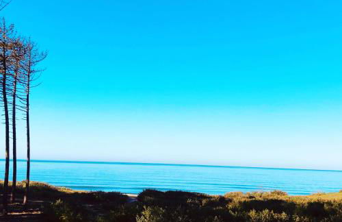 BeachLiving Cortegaça - Foto 59