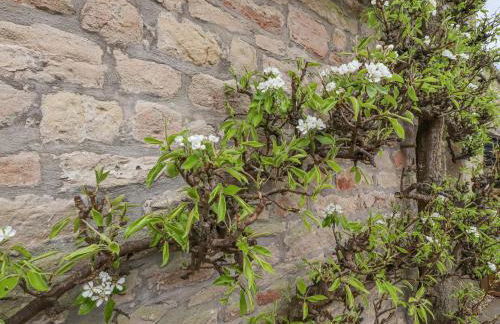 Pear Tree Cottage at Hey Farm - Foto 27