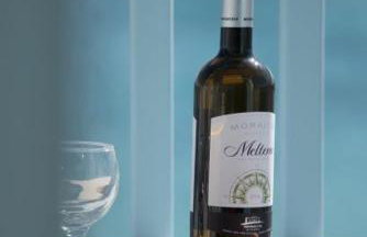 Paros Carmel studio-apartment - Photo 17