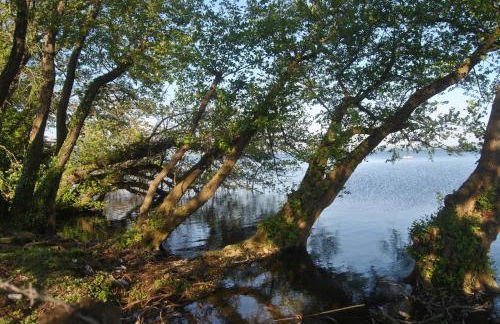 La Casa Degli Elfi - Foto 40