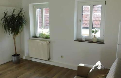 Alte Schmiede Neustadt - Foto 9