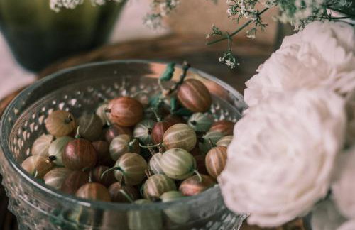 Tajna Bazia - Foto 11