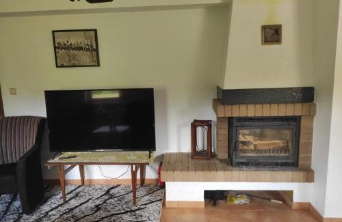 Biały Dzik Uszyszek - Foto 4