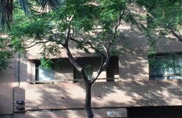 Valencia Centro WiFi - Photo 45