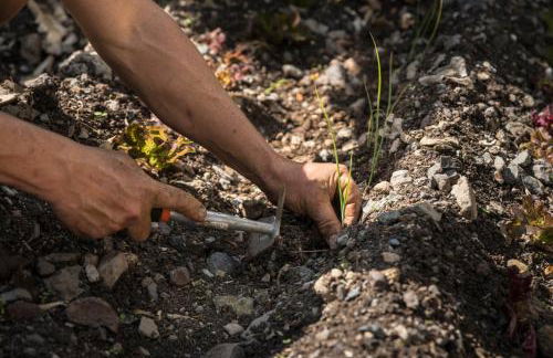 Banana Garden Suites - Foto 11