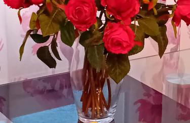 Monte Cristo - Foto 10