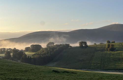 Pond Cottage - Foto 15