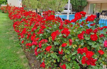 Gîte 1 "Mimosa" aux Magnolias - Foto 26