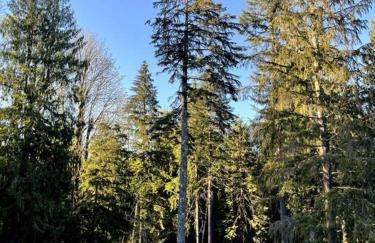 The Cottage at Highland Farms - Foto 29