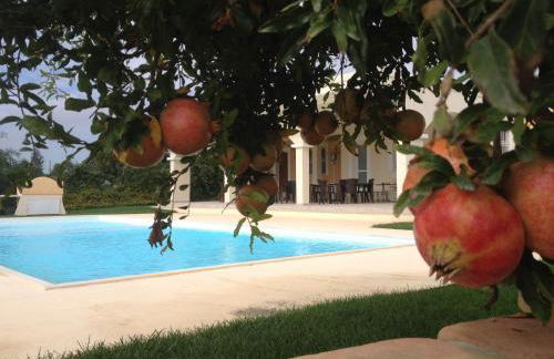 Villa Bulcrini - Photo 1