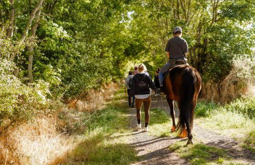 Reethaus 4B - Foto 38