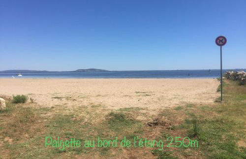 Horte neuve - Foto 49